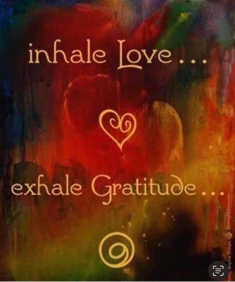 Gratitude Takes Root In The Soil In The Soul Shree Vasant